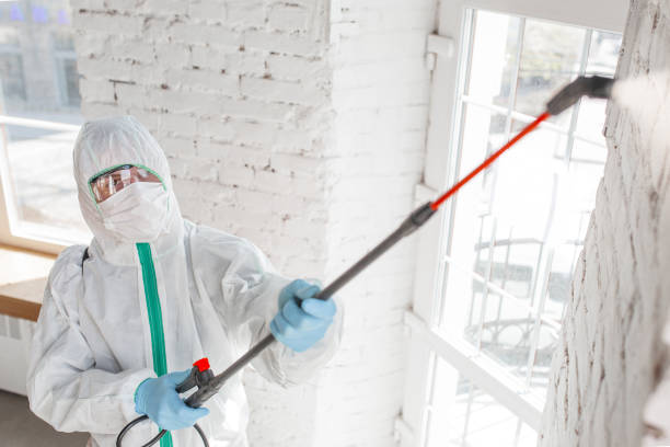 Best Post-Remediation Verification Testing  in Madison, MN