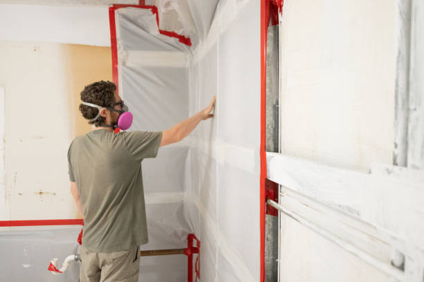 Best Dehumidification Services  in Madison, MN