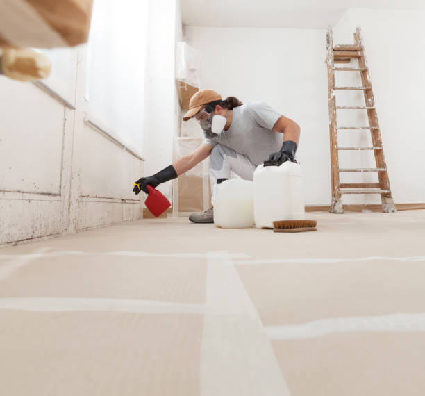 Best HVAC Mold Inspection and Cleaning  in Madison, MN